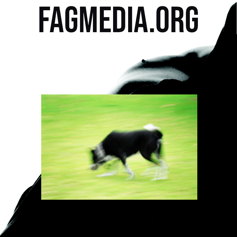 Fagmedia Logo